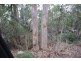 Lot 191 Oakey Cooyar Road, Nutgrove QLD 4352