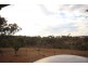 1143 Kooralgin Gilla Road, Gilla QLD 4306