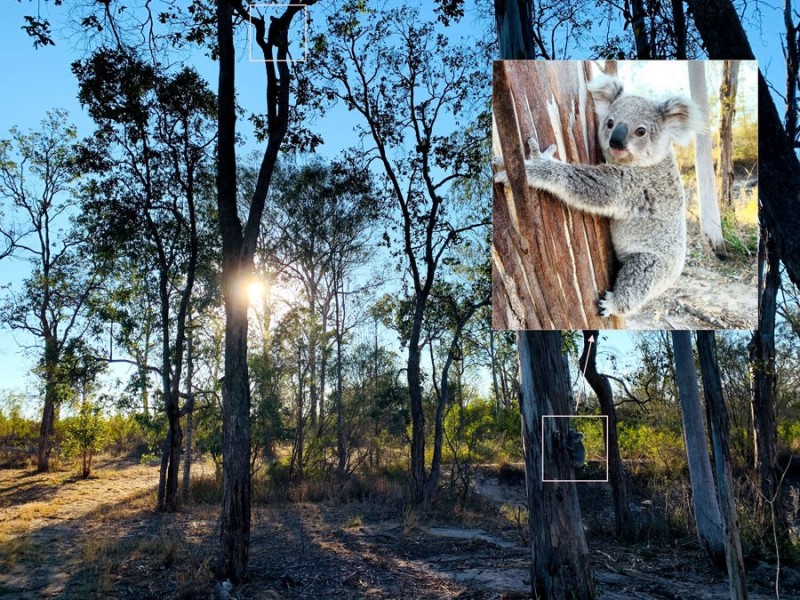 190 Back Creek Road, Crows Nest QLD 4355