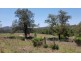 49 Francis Road, Biarra QLD 4313