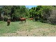49 Francis Road, Biarra QLD 4313