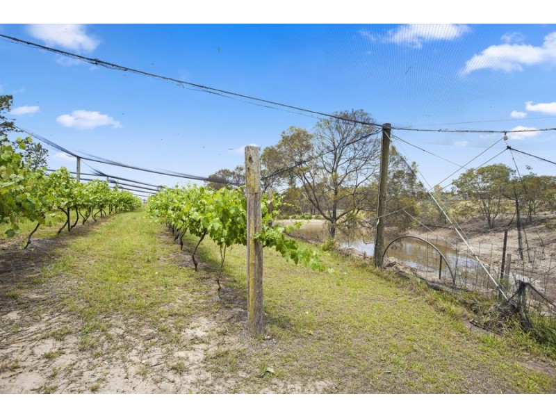 89 Pierces Creek Road, Crows Nest QLD 4355