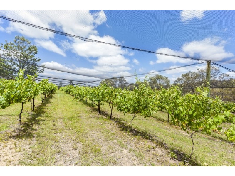 89 Pierces Creek Road, Crows Nest QLD 4355