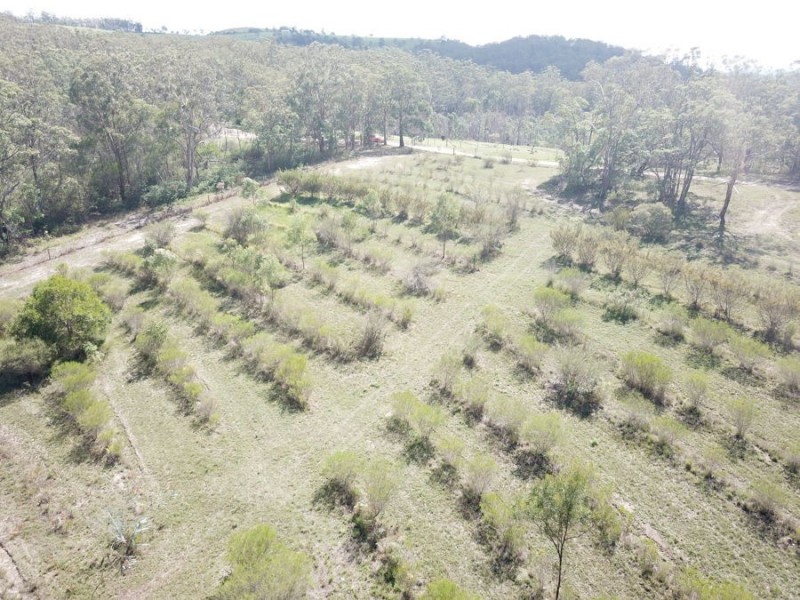 Crows Nest QLD 4355