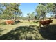 Lot 1 1062 Cooyar-Mt Binga Road, Cooyar QLD 4402