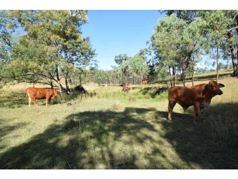 Lot 1 1062 Cooyar-Mt Binga Road, Cooyar QLD 4402