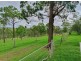 Lot 1 1062 Cooyar-Mt Binga Road, Cooyar QLD 4402