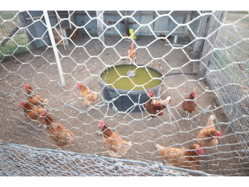 1507 Pechey-Maclagan Road, Goombungee QLD 4354