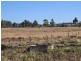 Lot 17 James Road (off Colemans Road), Goombungee QLD 4354