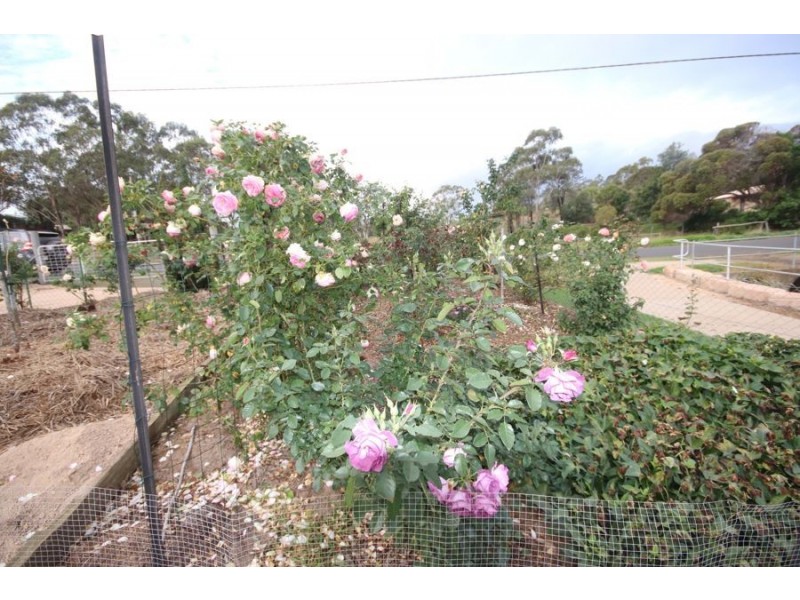 1 Lake Drive, Meringandan QLD 4352