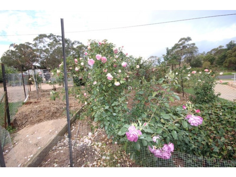 1 Lake Drive, Meringandan QLD 4352