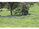 223 Andrews Dip Road, Crows Nest QLD 4355