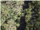 197 Three Mile Road, Crows Nest QLD 4355