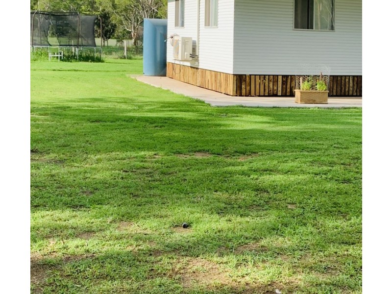 16 Hayden Street, Crows Nest QLD 4355