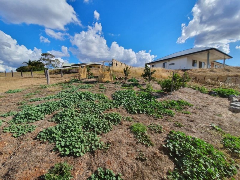 8 Birdsong Court, Gowrie Junction QLD 4352