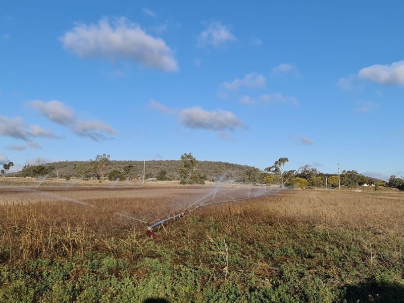 75 Beauaraba Road, Linthorpe QLD 4356