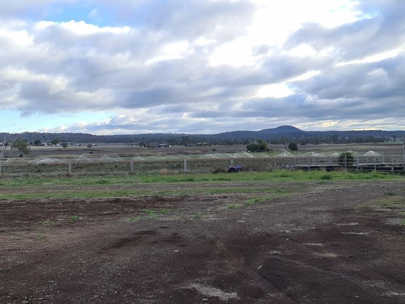 75 Beauaraba Road, Linthorpe QLD 4356