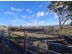 75 Beauaraba Road, Linthorpe QLD 4356