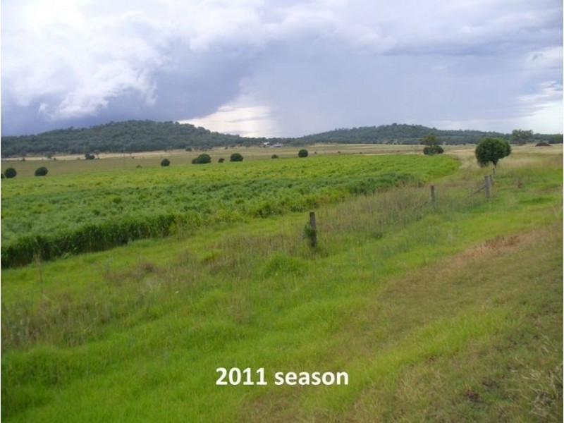 75 Beauaraba Road, Linthorpe QLD 4356