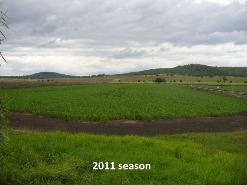 75 Beauaraba Road, Linthorpe QLD 4356