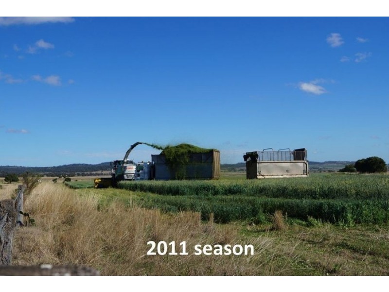 75 Beauaraba Road, Linthorpe QLD 4356