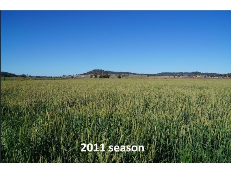 75 Beauaraba Road, Linthorpe QLD 4356