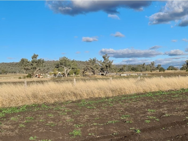 75 Beauaraba Road, Linthorpe QLD 4356