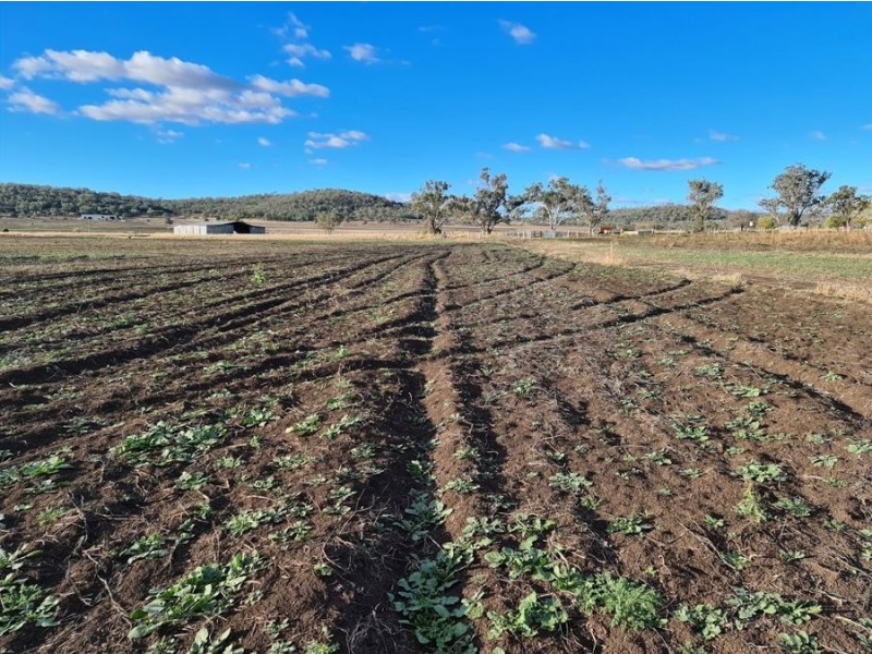 75 Beauaraba Road, Linthorpe QLD 4356