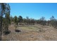 442 Emu Creek Road, Emu Creek QLD 4355