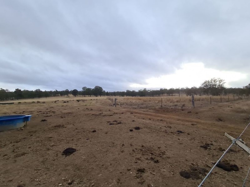 1 Bum Bum Creek Road, St Aubyn QLD 4352