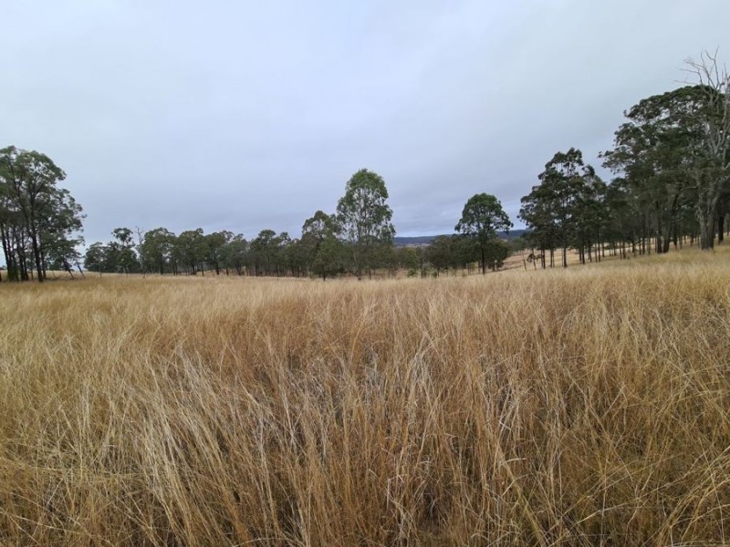 1 Bum Bum Creek Road, St Aubyn QLD 4352