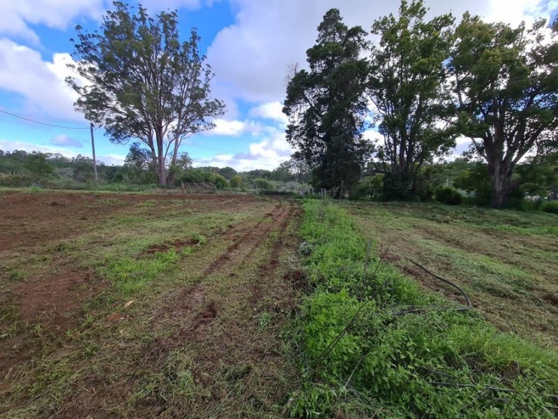 Lot 169 Williams Street, Pechey QLD 4352