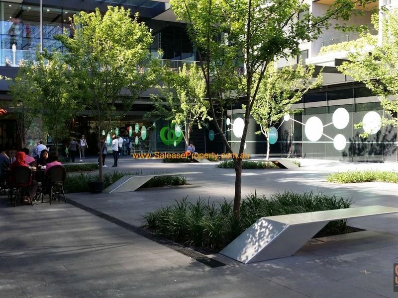 2507/3 CARLTON STREET, Chippendale NSW 2008