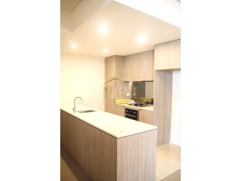 323/7 Washington Avenue, Riverwood NSW 2210