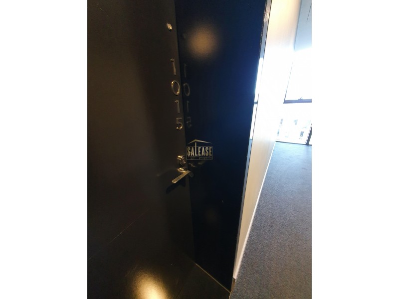 1015/18 Park Lane, Chippendale NSW 2008