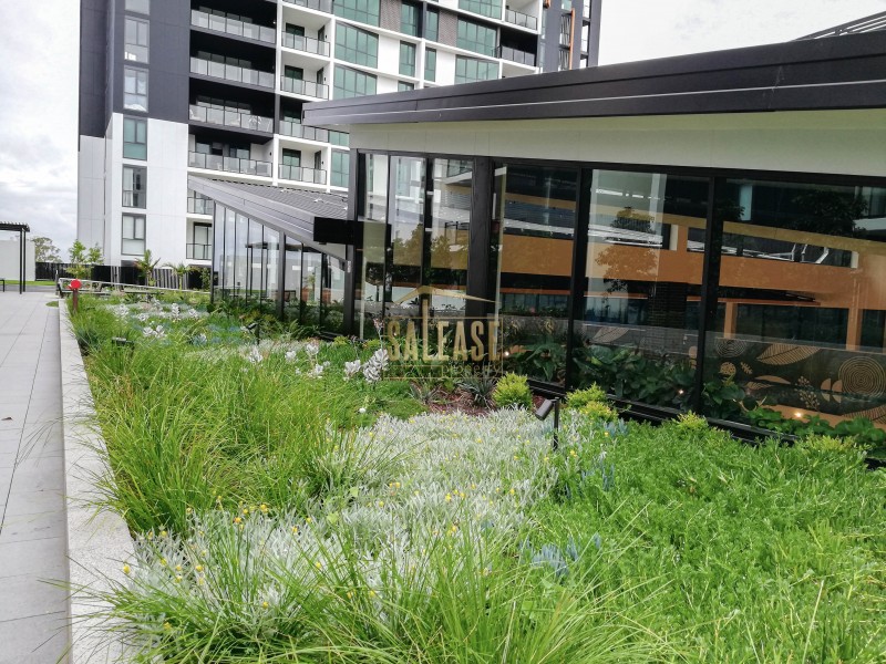 611/2 Sergeant Street, Edmondson Park NSW 2174