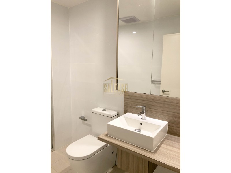 Unit 423/7 Washington Avenue, Riverwood NSW 2210