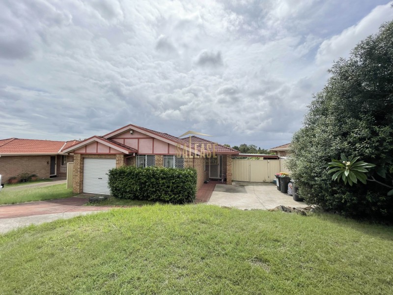 58 Victoria Road, Macquarie Fields NSW 2564