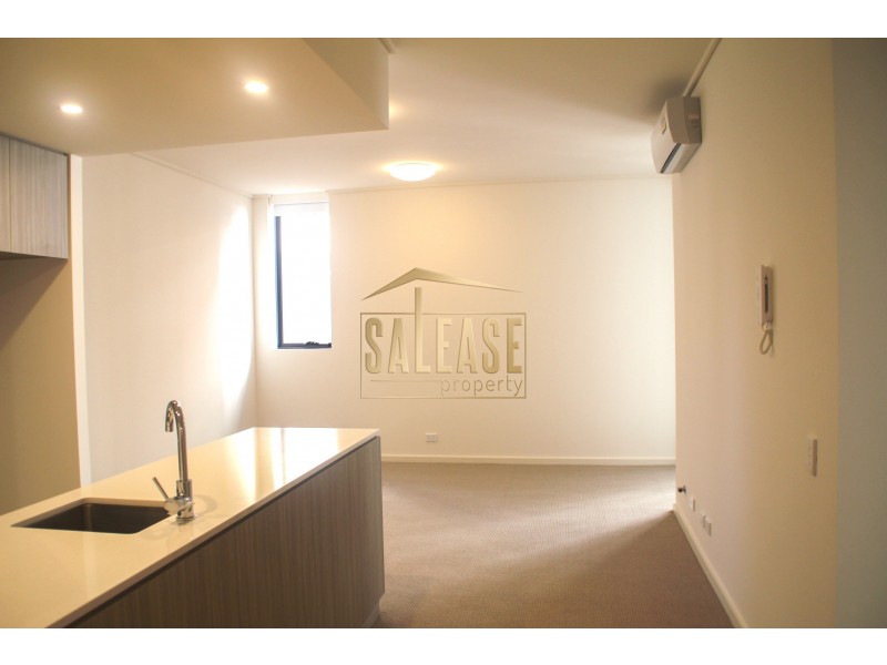 323/7 Washington Avenue, Riverwood NSW 2210