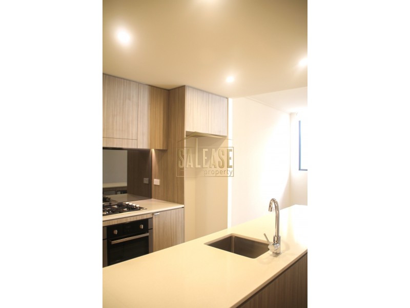 323/7 Washington Avenue, Riverwood NSW 2210