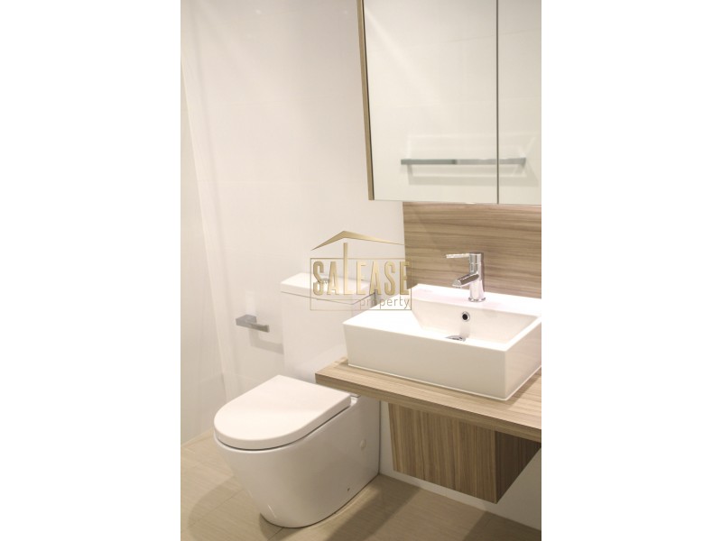 323/7 Washington Avenue, Riverwood NSW 2210