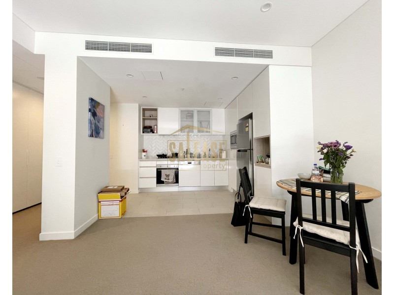 5206/6 Tung Hop Street, Waterloo NSW 2017