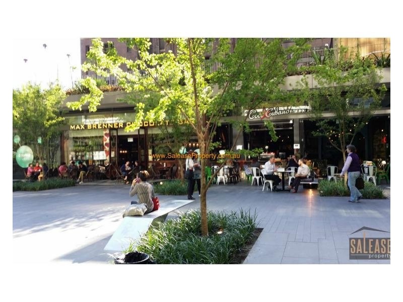 E2013/3 Carlton Street, Chippendale NSW 2008