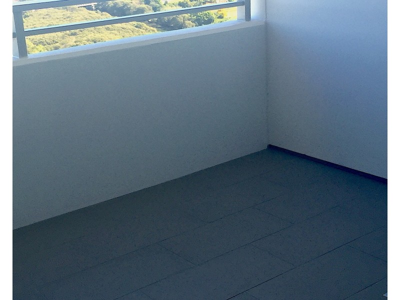 Unit 2006/1 Brodie Spark Drive, Wolli Creek NSW 2205