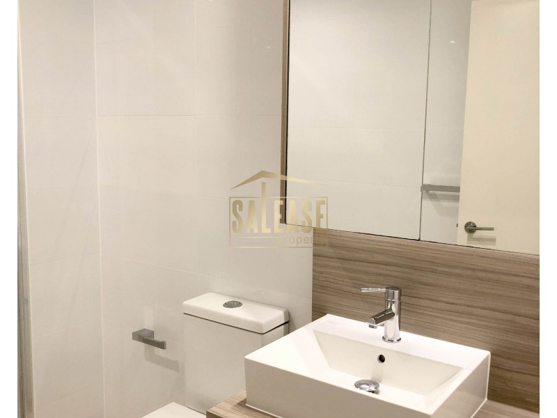 Unit 423/7 Washington Avenue, Riverwood NSW 2210