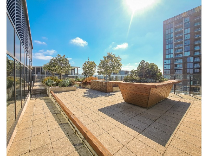 C206/5 Network Place, North Ryde NSW 2113