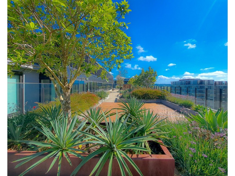 206/5 Network Place, North Ryde NSW 2113