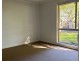 139 Racecourse Road, Clarendon NSW 2756