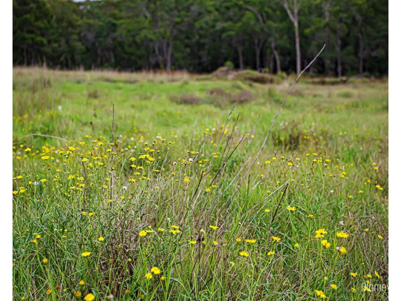 Lot 7 330 Maguires Road, Maraylya NSW 2765