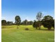 8 Mitchell Park Road, Cattai NSW 2756